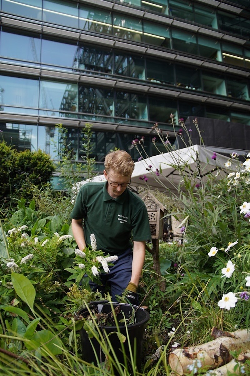 green waste collection